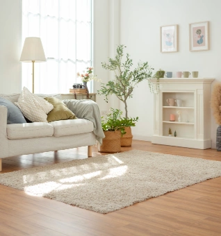 Home, Furniture & Fixtures