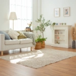 Home, Furniture & Fixtures